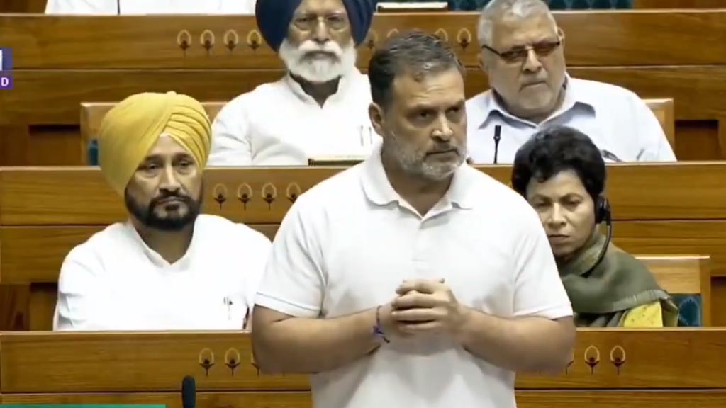 Rahul gandhi Loksabha